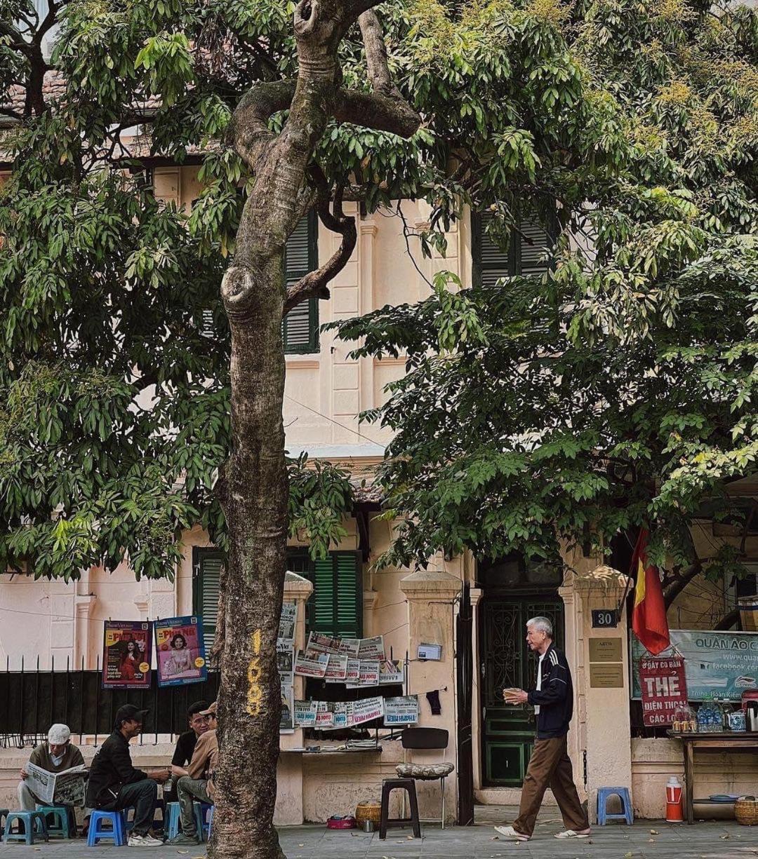 Tropical Land Little Hanoi Homestay Exterior foto